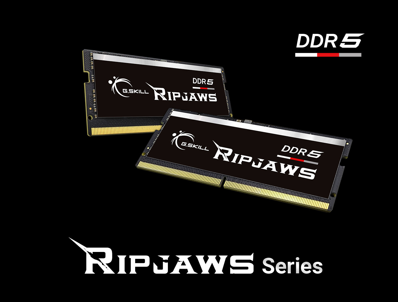 G.SKILL Ripjaws SO-DIMM 16GB 262-Pin DDR5 SO-DIMM DDR5 4800 (PC4 38400)  Laptop Memory Model F5-4800S3838A16GX1-RS